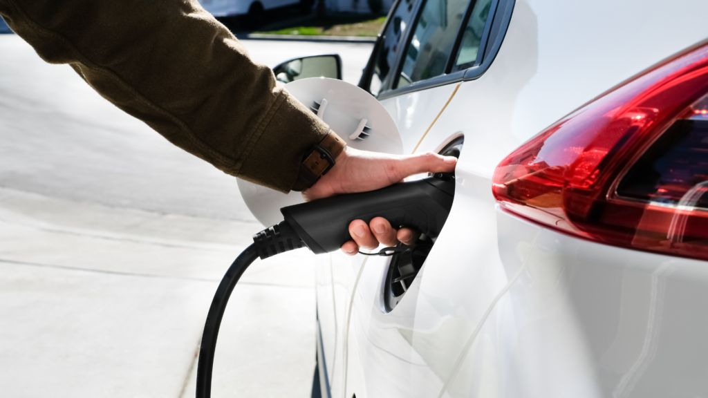 How Much Does It Cost To...