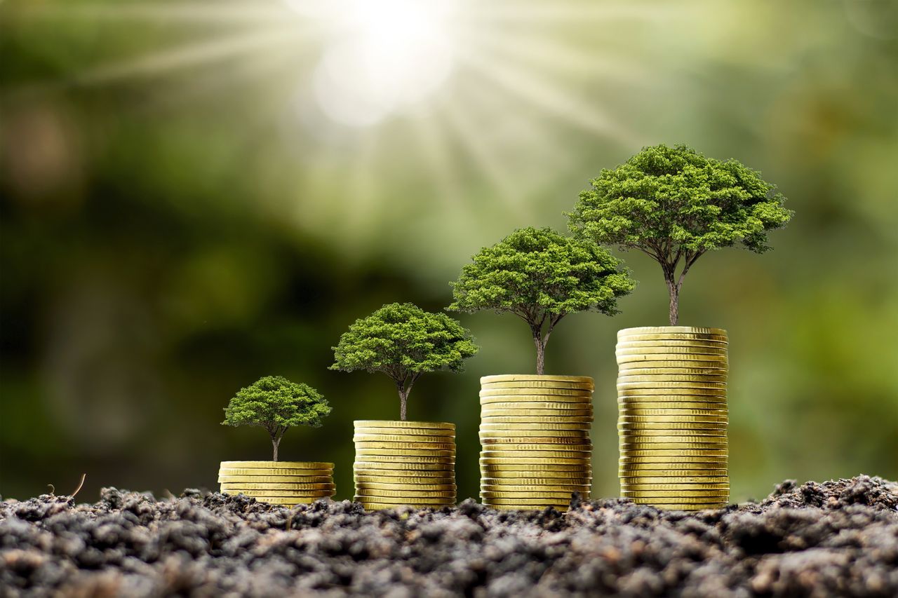 How to start investing: a beginner’s...