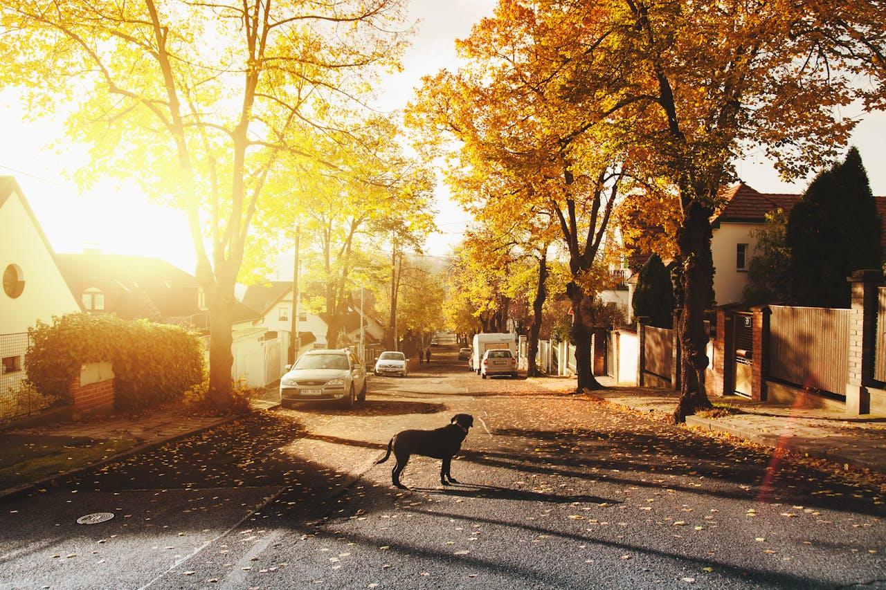 Investing In 2024: Is Real Estate...
